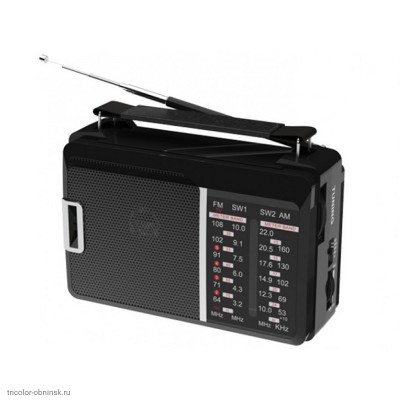 Радиоприёмник Ritmix RPR-190 FM/AM/SW1-2 питание 220V, 2*LR20