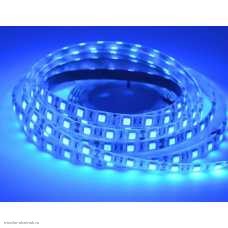 Лента 1 метр 08 мм 12v 2835 60 Led/м силикон синяя IP65