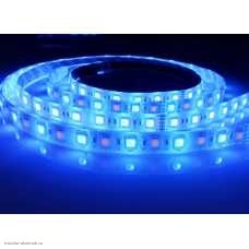 Лента 1 метр 10 мм 12v 5050 60 Led/м открытая синяя IP20
